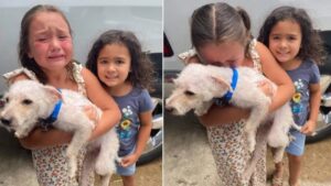 Due bambine si emozionano dopo aver ritrovato il loro cane scomparso per più di due mesi