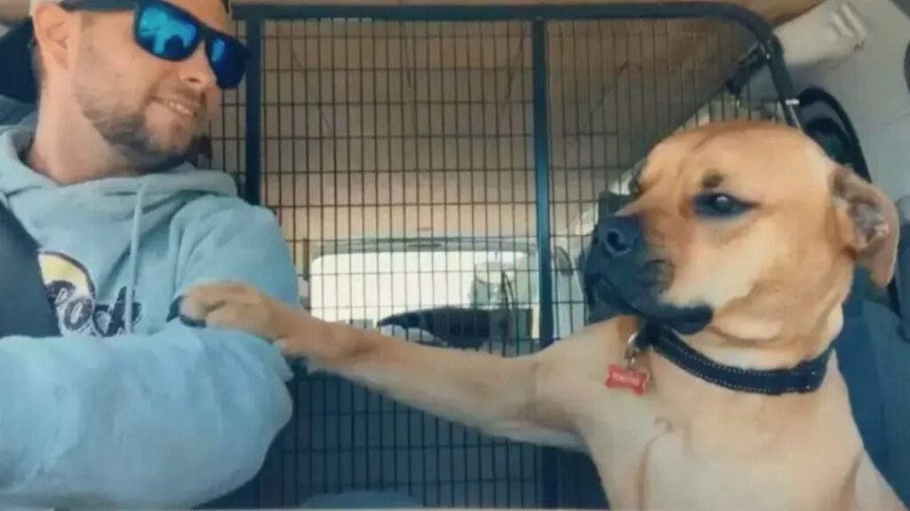 Questo tenero cane non lascia mai la mano del suo padrone