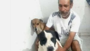 Cani si rifiutano di lasciare da solo il loro proprietario sull’ambulanza e salgono con lui