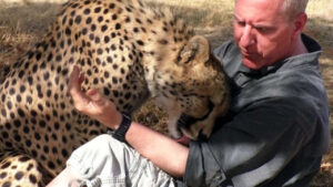 L’Incredibile amicizia tra un fotografo e un ghepardo: un legame unico