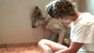 Sembrava un semplice cane randagio: lo salvano e scoprono quanto sia speciale e, in più, ricevono una sorpresa