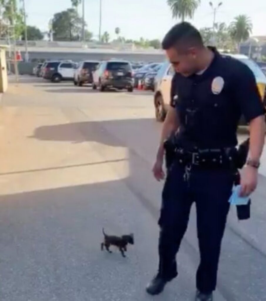 poliziotto adotta un cane