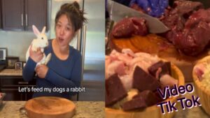 Cucina il coniglio per darlo al suo cane: la reazione del web al video su Tik Tok