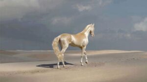 Il cavallo Akhal-Teke: bellezza unica della natura