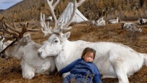 Tra spiriti e renne, la storia di una tribù della Mongolia (VIDEO)