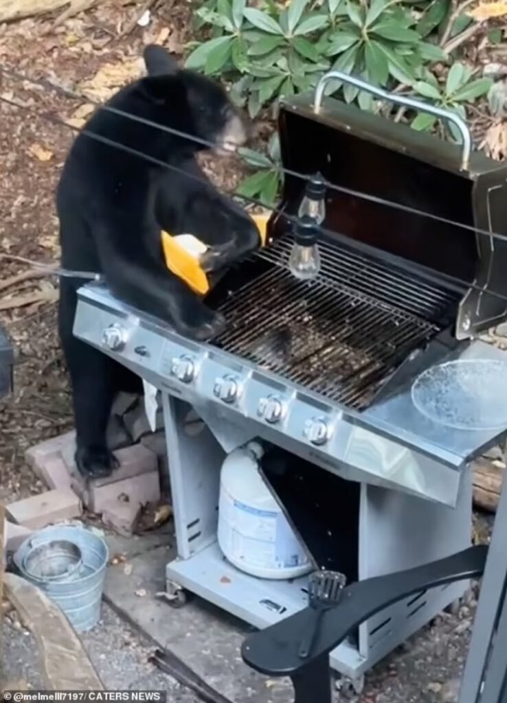 I ragazzi si sono spaventati