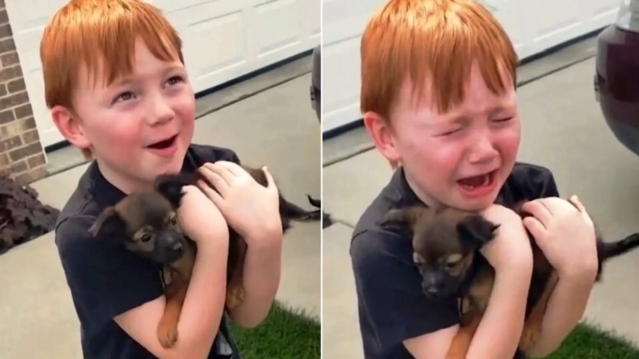 bambino sorpreso cucciolo