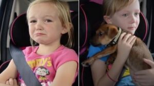 Le bambine volevano così tanto questo simpatico cane che il destino ha semplicemente sorriso loro