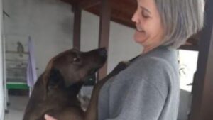 Questa cagnolina piangeva sul ciglio della strada, aveva urgentemente bisogno di una famiglia adottiva