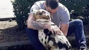 Questo cane si sente finalmente a casa quando il suo nuovo papà lo abbraccia (VIDEO)