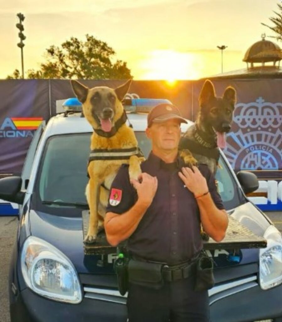 Cane poliziotto in pensione cerca casa