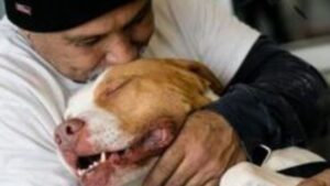 Quest’uomo fece una promessa al suo cane: dopo 4 mesi sarebbe tornato a riprenderlo dal rifugio