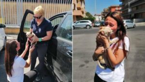 Chihuahua smarrito viene riportato a casa dopo 8 anni di ricerche: la storia di Maya