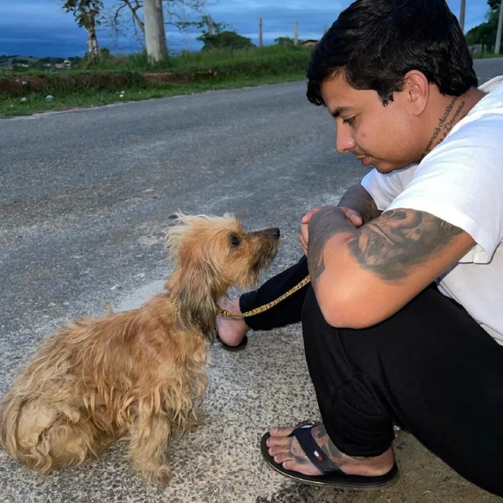 cucciolo abbandonato con nuovo padrone