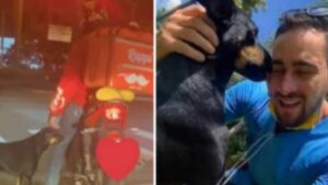 Cagnolino randagio chiede aiuto ad un fattorino fermo al semaforo (VIDEO)