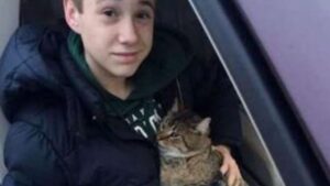 Questo gattino è stato lanciato da un furgone in corsa su un ponte, la sua vita era in serio pericolo