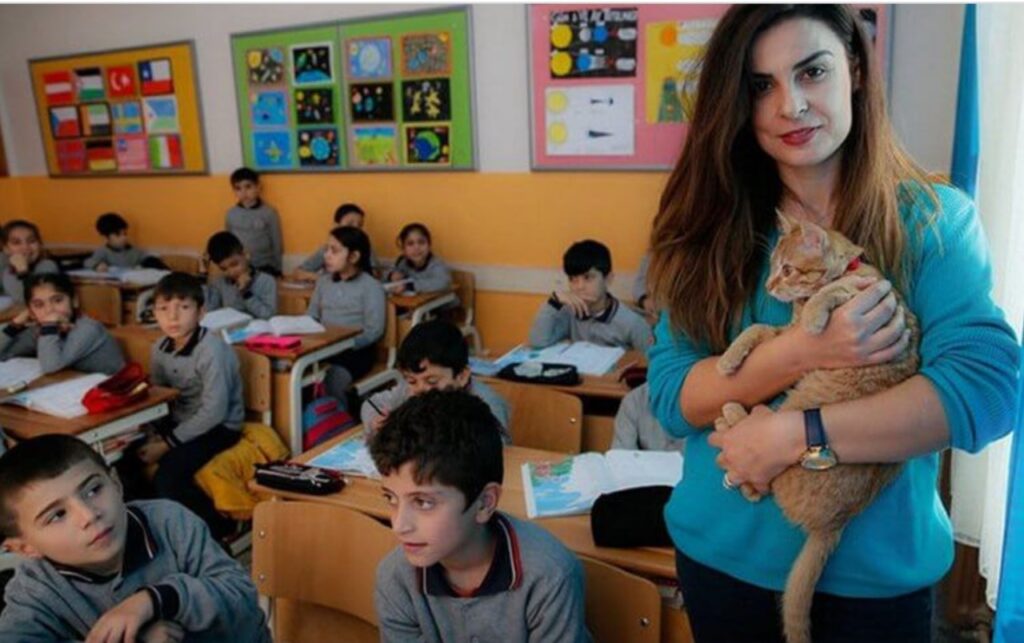 Gatto entra in una scuola