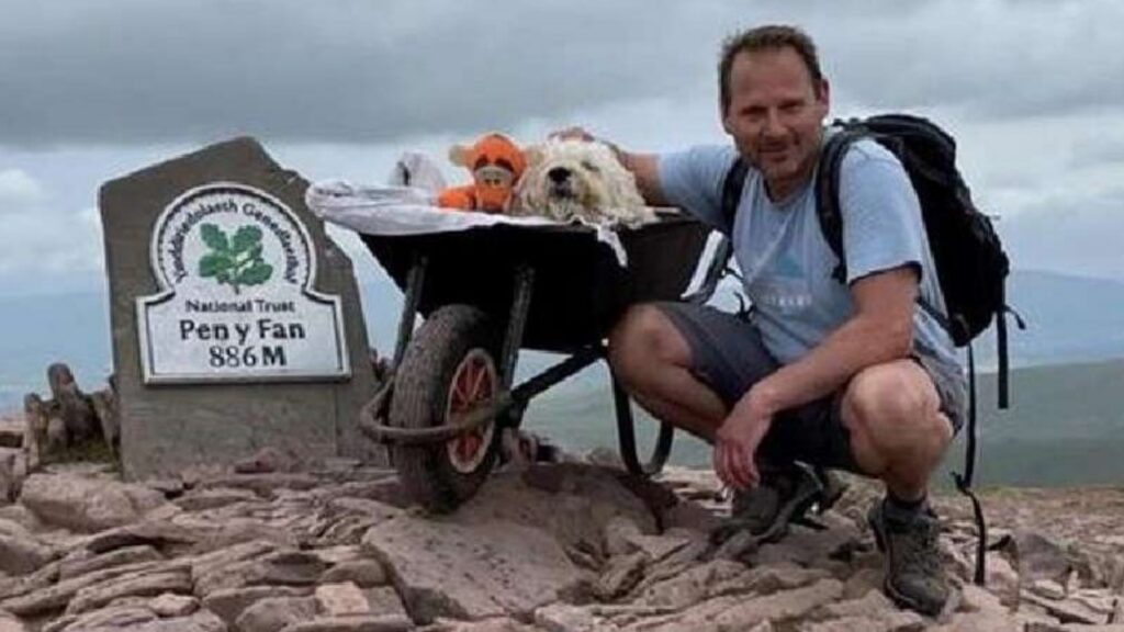 Questo cagnolino ha fatto un'ultima passeggiata