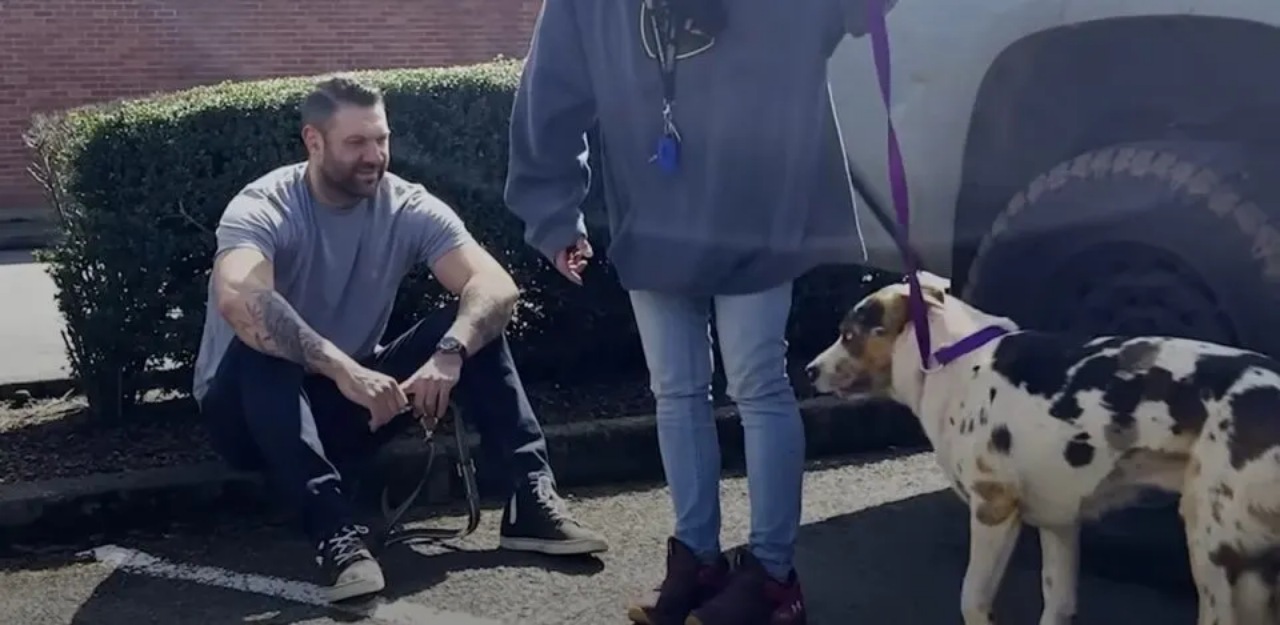 Cane perde la fiducia nell'uomo