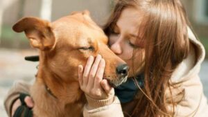 Non dovresti abbracciare il tuo cane: un veterinario svela perché