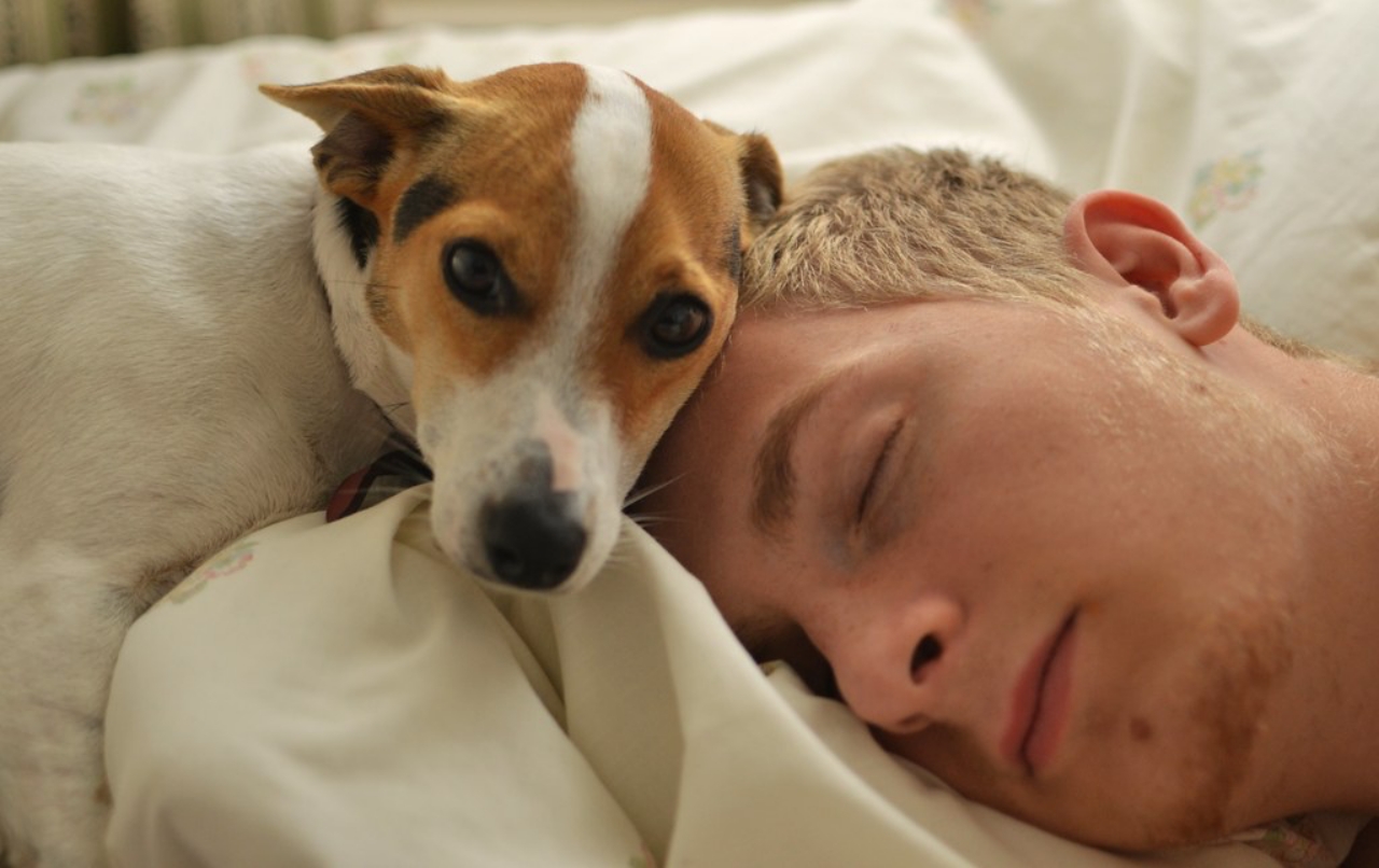 cucciolo dorme nel letto