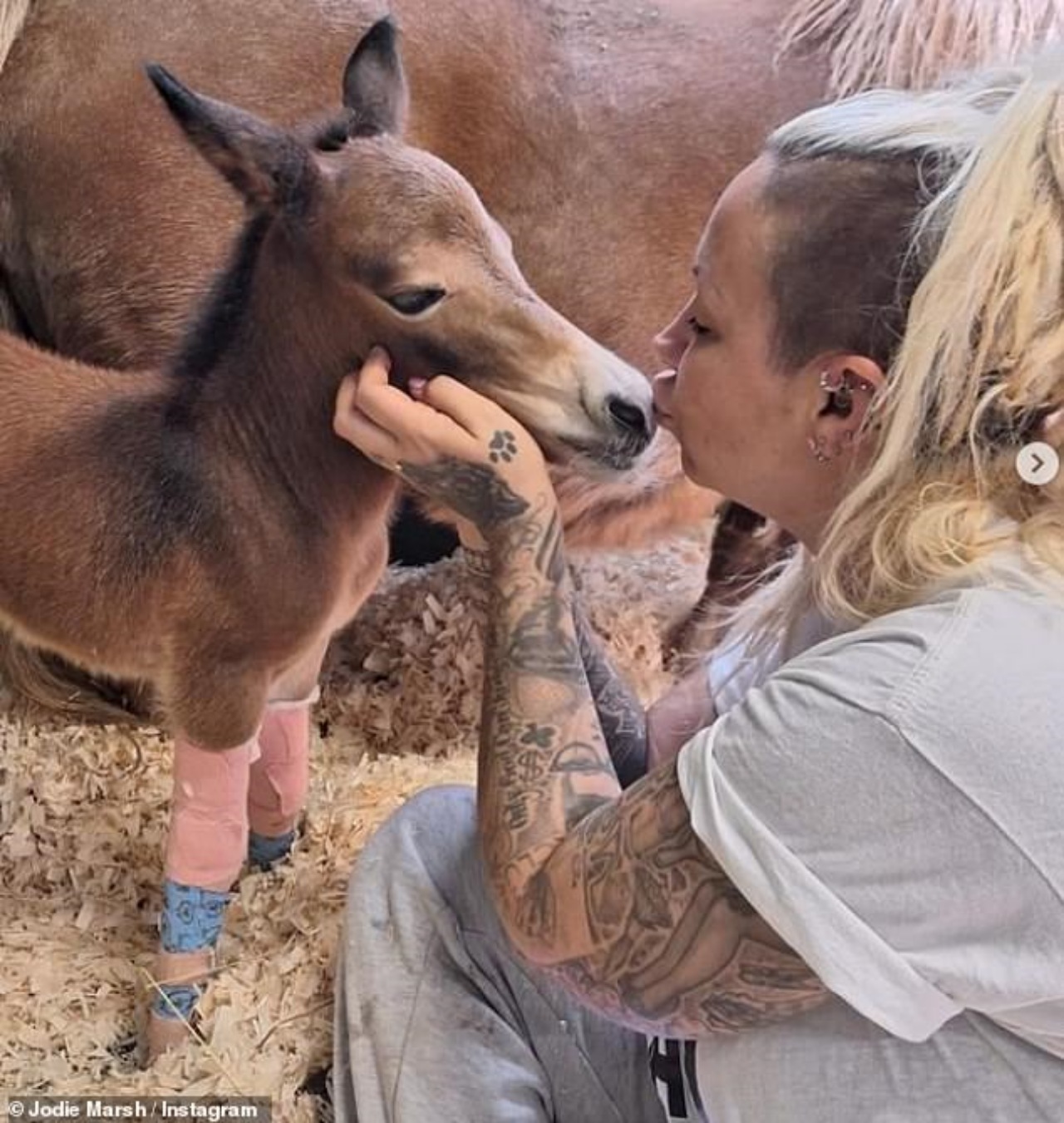 Jodie Marsh dona fondi ad un rifugio