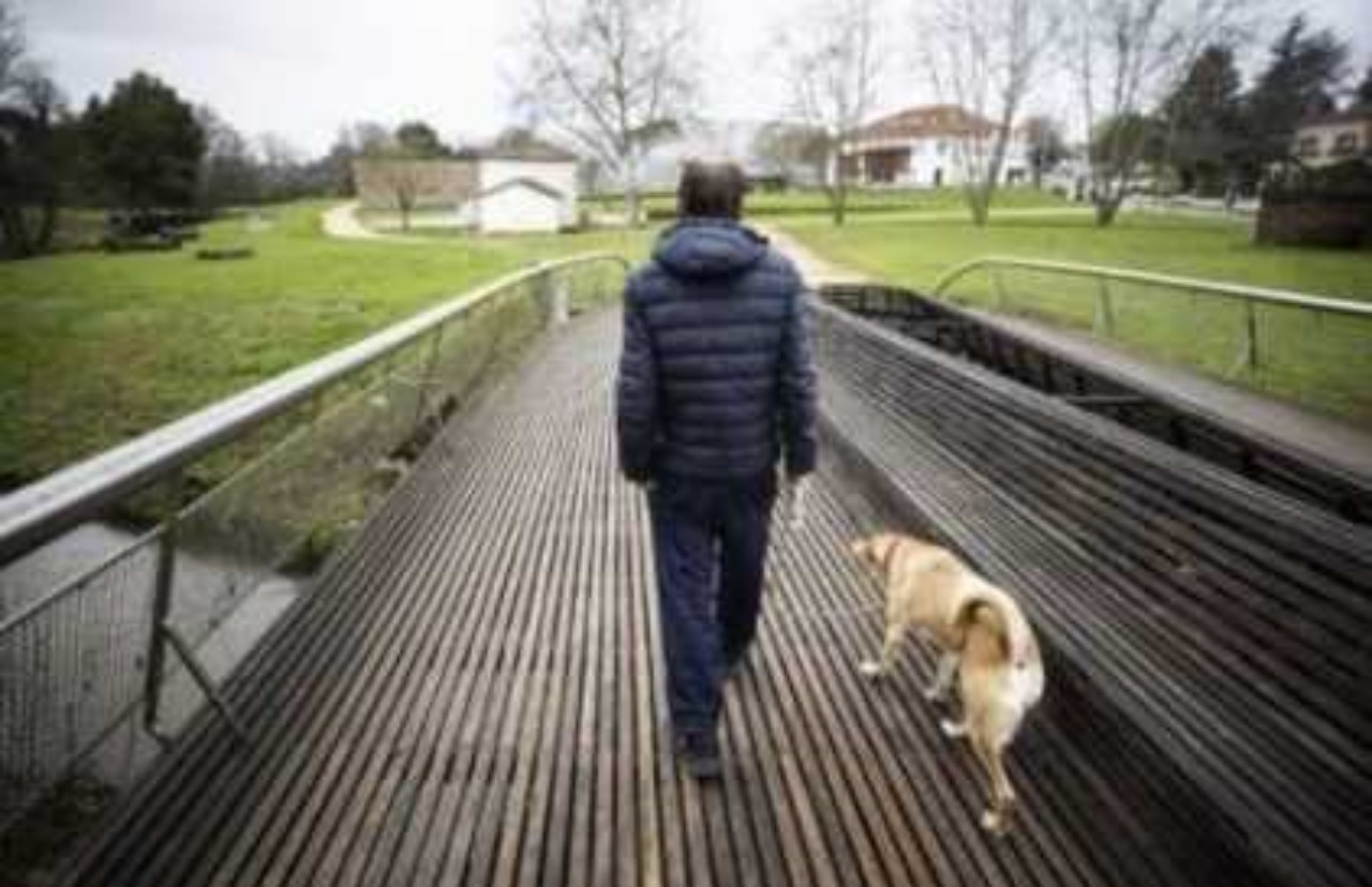 Senzatetto rinuncia all'alloggio per non separarsi dalla sua cagnolina