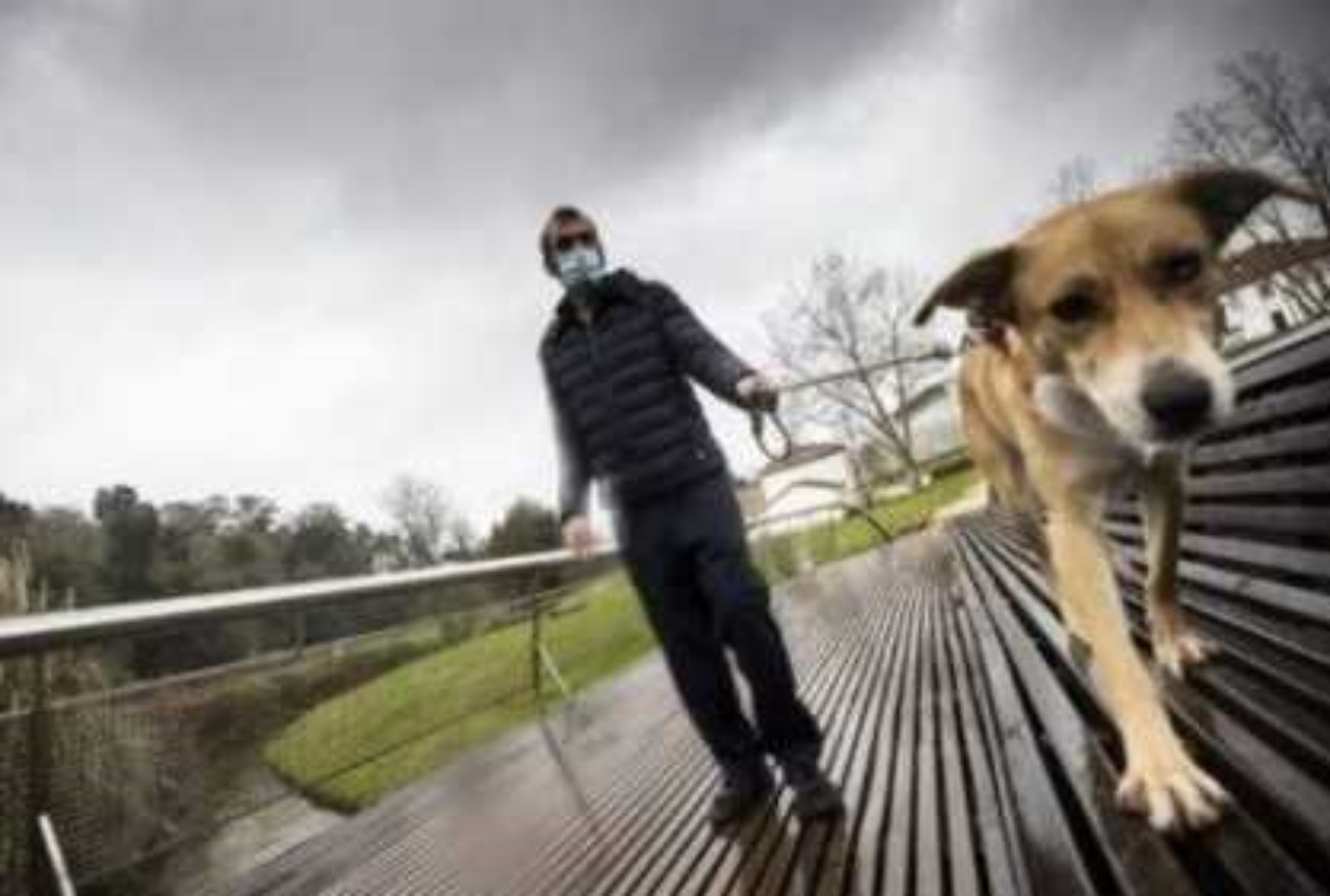 Senzatetto rinuncia all'alloggio per non separarsi dalla sua cagnolina