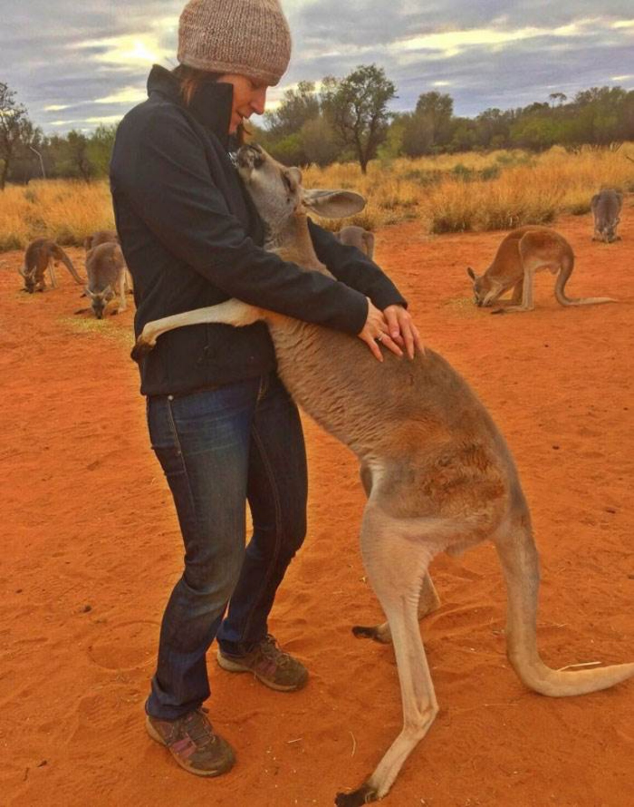 canguro salvato savana