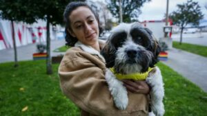 Marley un cagnolino abbandonato che ha avuto una seconda possibilità da un passante generoso