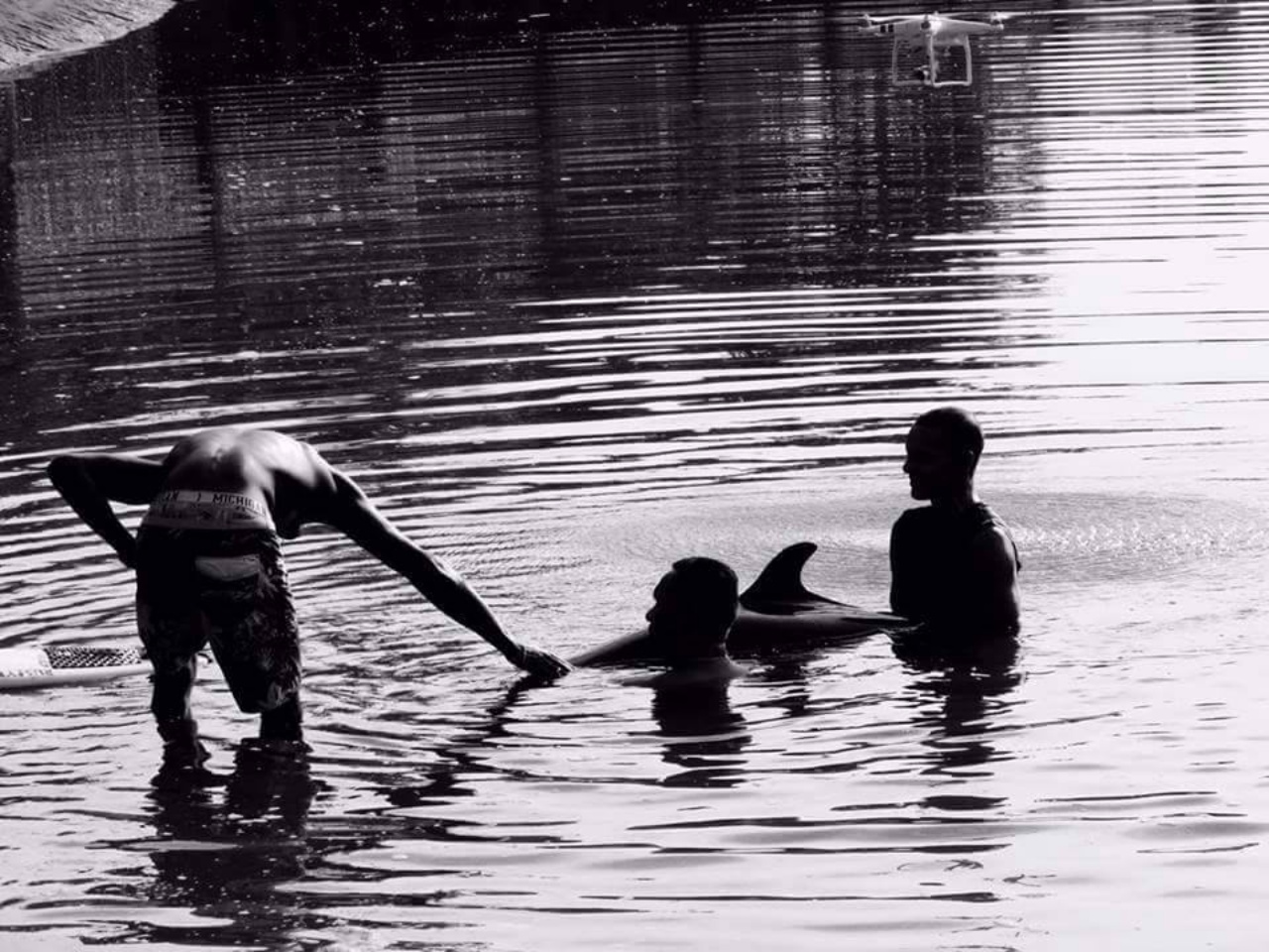 surfisti salvano mare