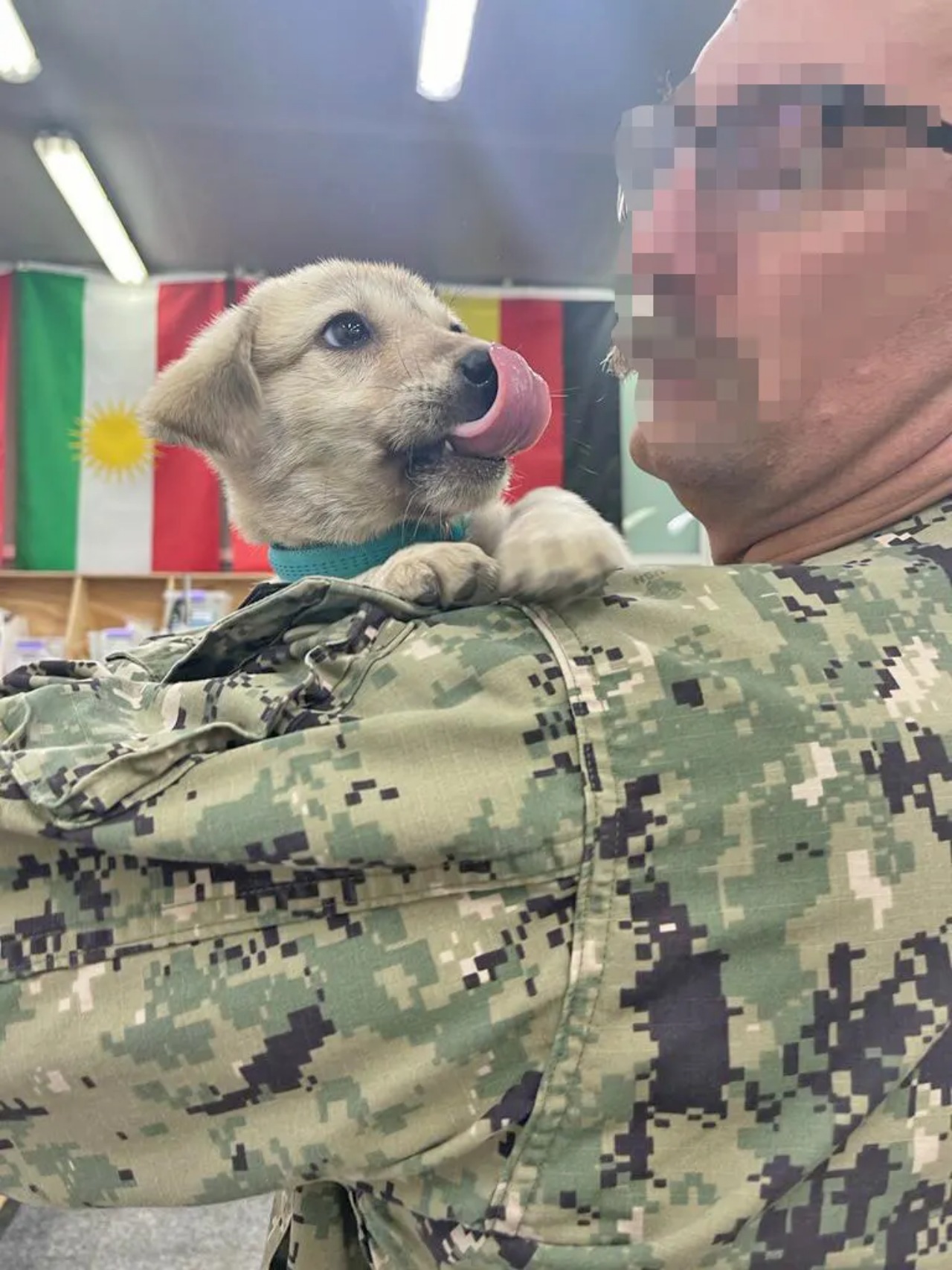 Cucciolo conquista il cuore di un militare e trova una famiglia