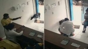 Un cucciolo coraggioso si è presentato da solo in una clinica veterinaria in cerca di aiuto (VIDEO)