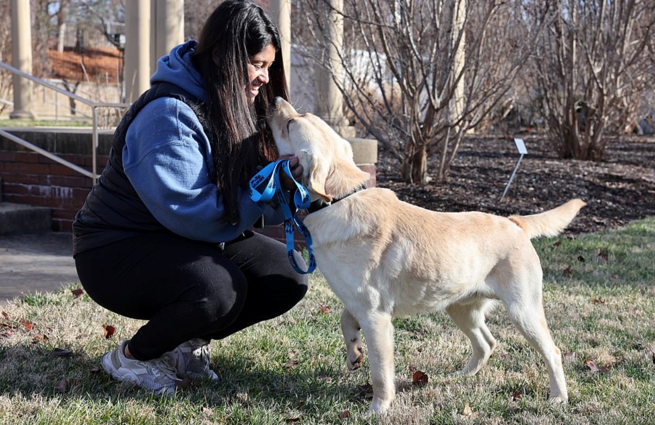 Labrador salvato da un allevamento