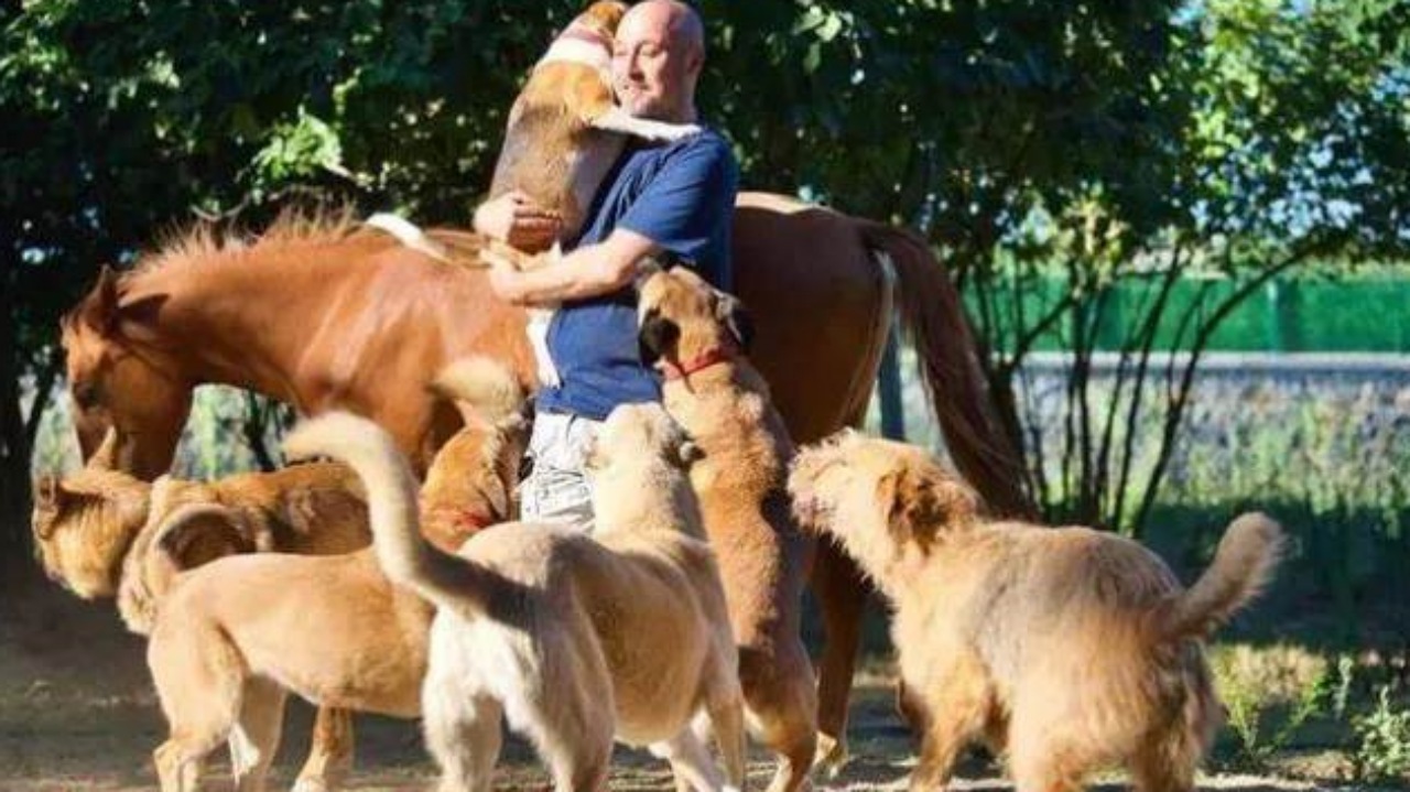 Santuari per animali randagi: un uomo trasforma la sua fattoria