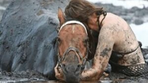 L’eroica donna che salva il suo cavallo Astro dall’annegamento nel fango (VIDEO)