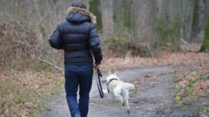 Vivere con un cane aiuta a migliorare la memoria, questo studio ci spiega come