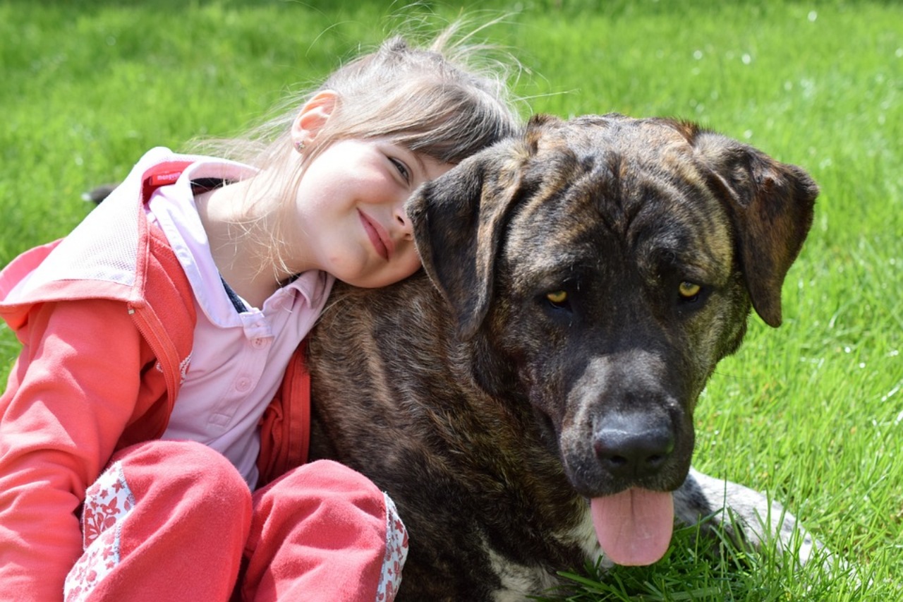 Una bambina trova una cagnolina randagia