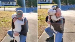 Emozionante incontro: un cane accoglie il suo nuovo padrone con un abbraccio infinito (VIDEO)