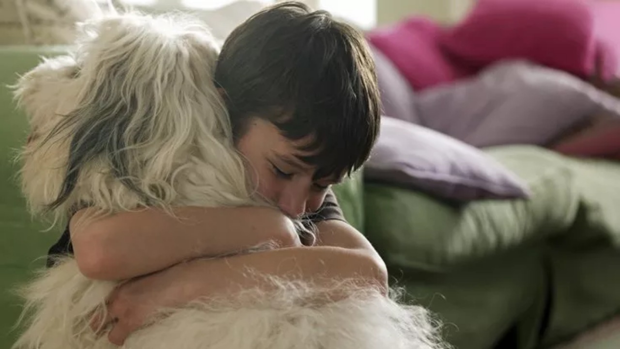 Un cucciolo conforta un bambino che soffre d'insonnia