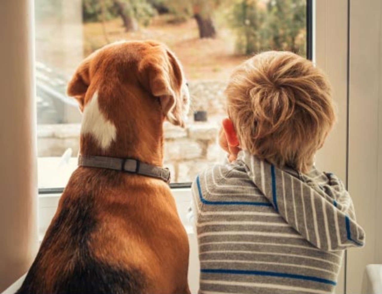 Un cucciolo conforta un bambino che soffre d'insonnia