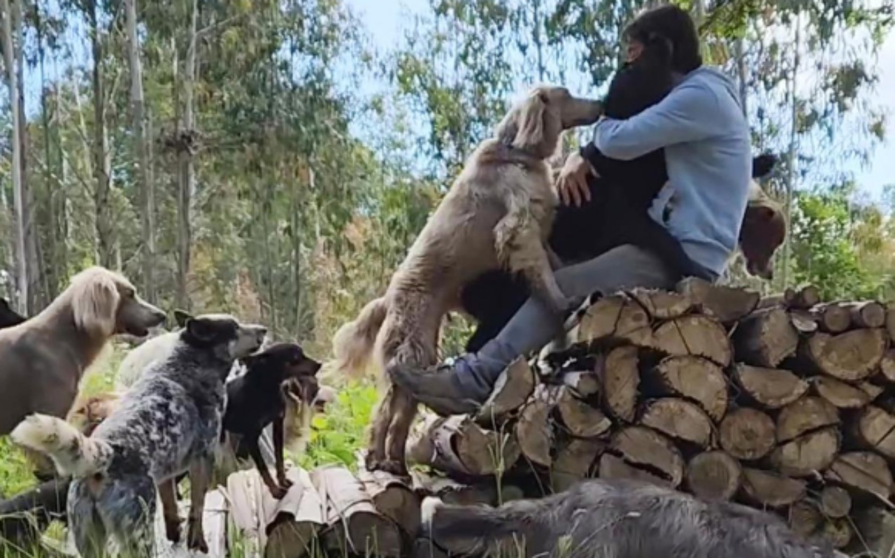 Una casa per 31 animali: la trovano per miracolo