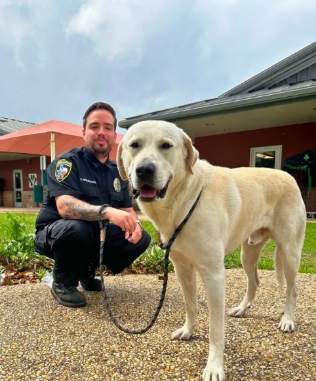 Labrador salvato dai binari del treno