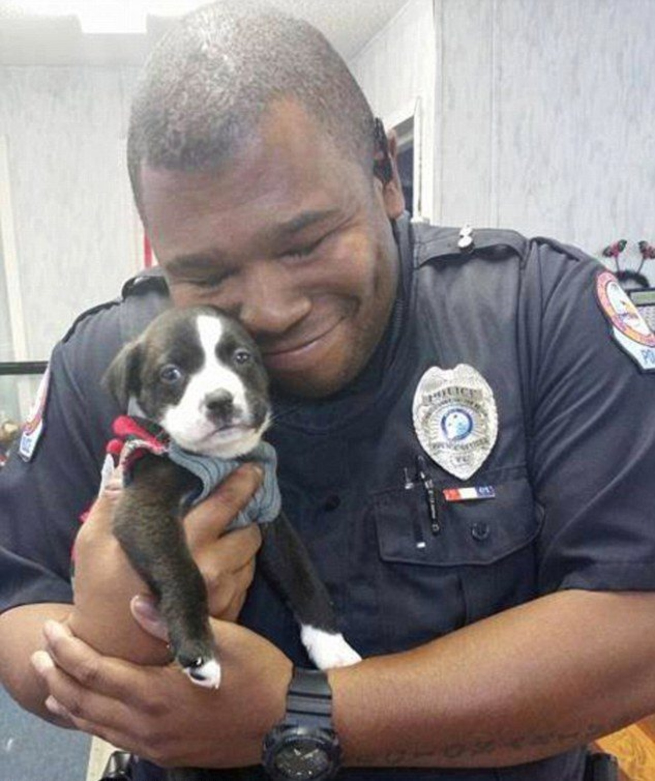 Poliziotto adotta un cucciolo di Pitbull