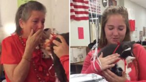 Una sorpresa emozionante: gli studenti confortano la professoressa afflitta dalla perdita del suo gatto (VIDEO)