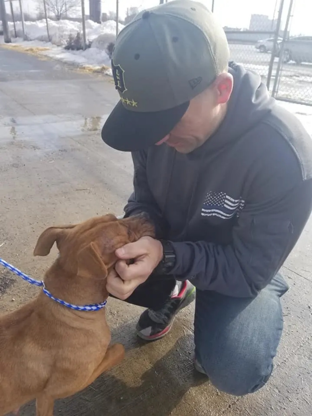 Pitbull salvato da un agente di polizia