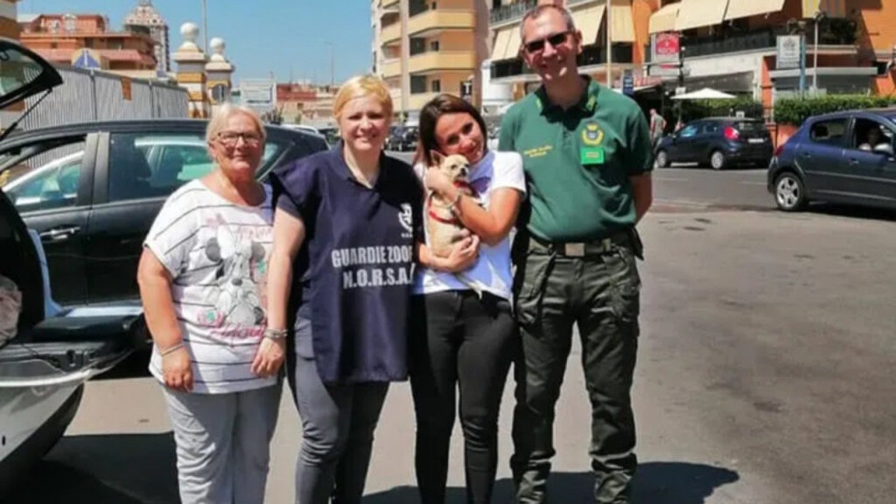 Proprietaria ritrova il suo Chihuahua scomparso