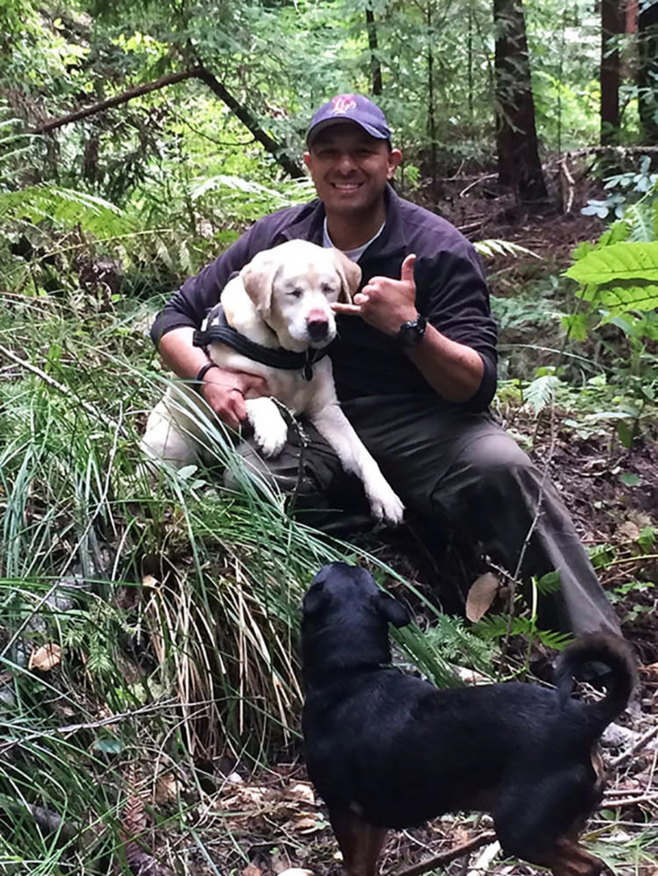 Cane cieco ritrovato da un vigile del fuoco