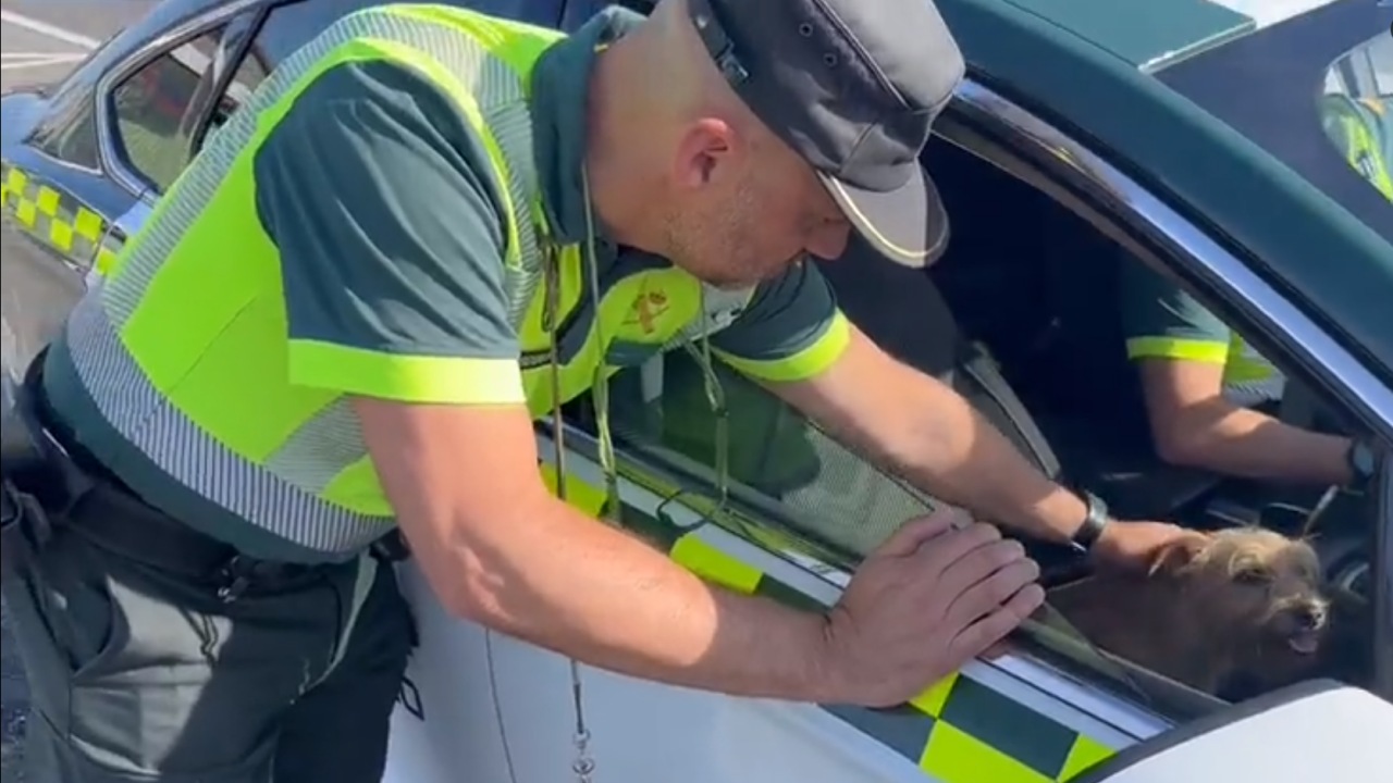 Guardia civile trova la cagnolina smarrita