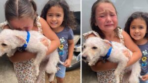 La bambina scoppia in lacrime di felicità quando rivede il suo cagnolino scomparso